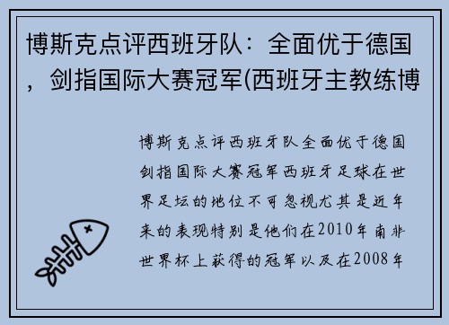 博斯克点评西班牙队：全面优于德国，剑指国际大赛冠军(西班牙主教练博斯克)