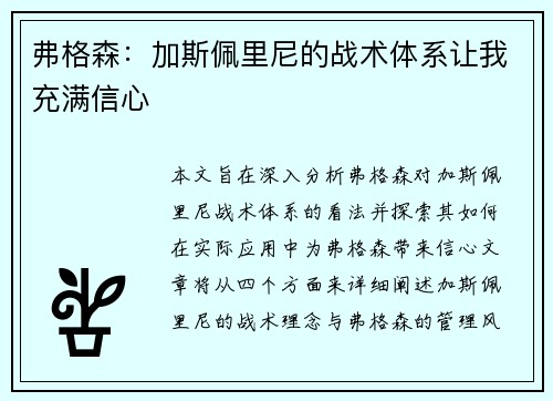 弗格森：加斯佩里尼的战术体系让我充满信心
